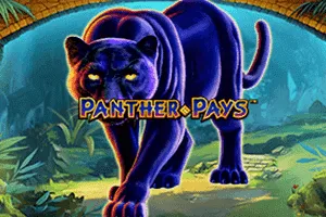 Panther Pays - PORTBET88